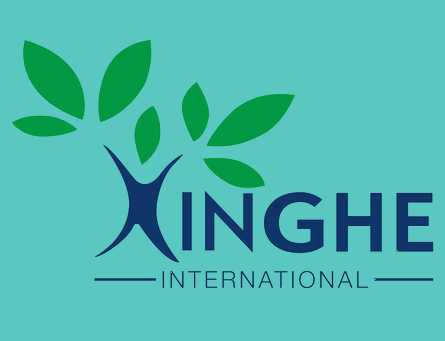 Xinghe International Logo
