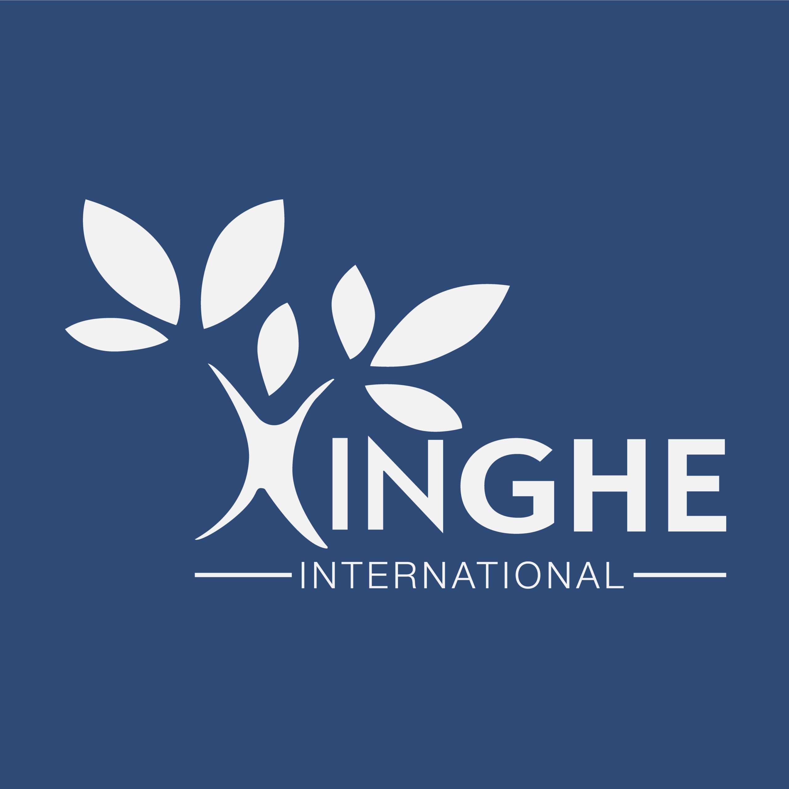 Xinghe International Logo