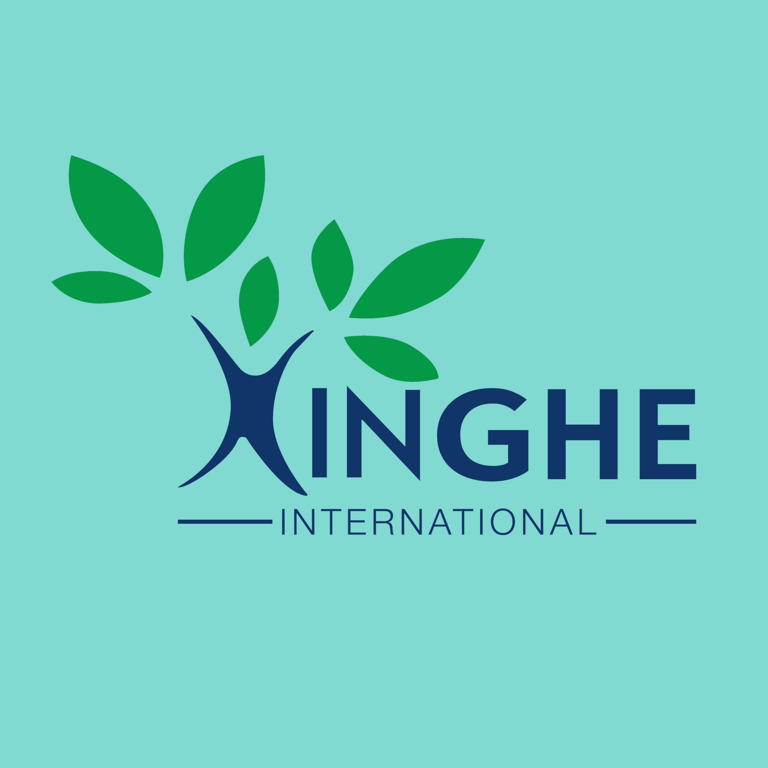XingHe International Logo
